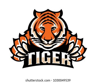 Tiger illustration logo template