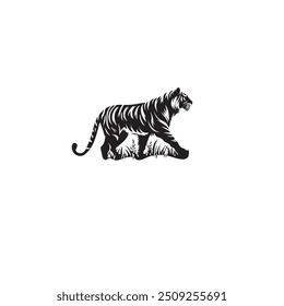  tiger illustration on white background