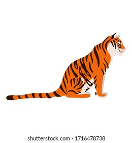 Tiger. Illustration of sitting tiger drawn in a flat style. Isolated animal on a white background. Vector 8 EPS.