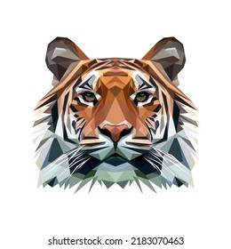 Tiger illustration for t-shirt, book, magazine, banner, and more. A lowpoly tiger design.