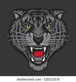 Tiger illustration, typography, t-shirt graphics, vectors