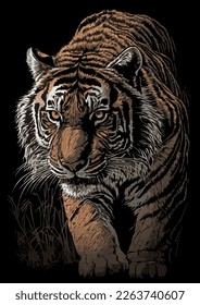 ALTA CALIDAD DEL VECTOR DE ILUSTRACIÓN DE TIGRES