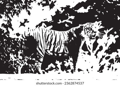 Tiger  Image illustrator Black and White.