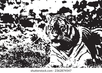 Tiger  Image illustrator Black and White.