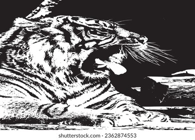 Tiger  Image illustrator Black and White.