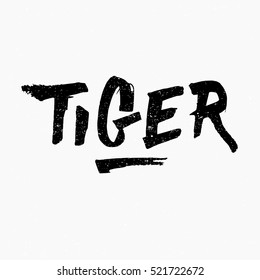 Tiger. Ink hand lettering. Modern brush calligraphy. Handwritten phrase. Inspiration graphic design typography element. Rough simple vector sign.