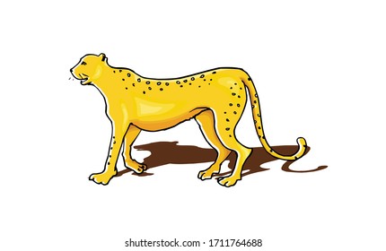 Tiger. Isolated animal. Vector illustration.