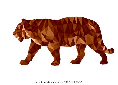 tiger, isolated color image on a white background in the low poly style