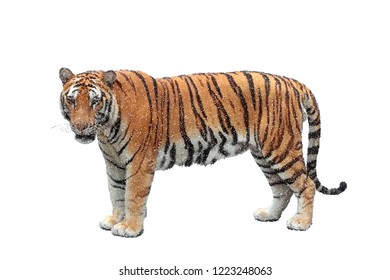 Tiger. Isolated on white background. Vector illustration. Pointillism style. 
