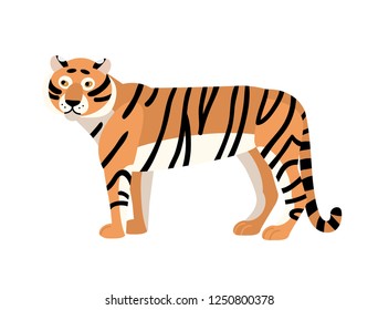 Tiger isolated on white background. Gorgeous exotic carnivorous animal with stripy coat. Graceful large wild cat or felid. Endangered species. Colorful vector illustration in flat cartoon style.