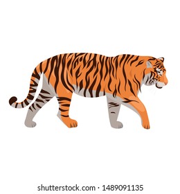 Tiger isolated on a white background. Vector graphics.