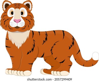 
Tiger isolated on a white background. 