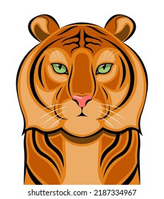 Tiger isolated on white background. Tiger vector illustration. Tiger face. 