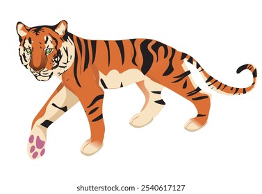 Tiger einzeln auf weißem Hintergrund. Vektorgrafik einer Katzenseitenansicht mit auffälligem Aussehen. Vektorgrafik.