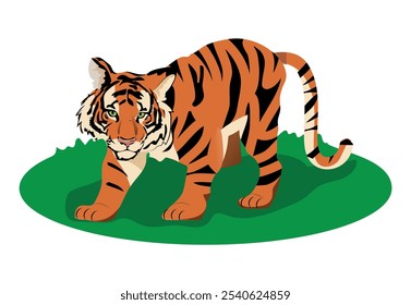 tigre isolado em fundo branco. Vetor de um felino com uma aparência impressionante. ilustração vetorial.