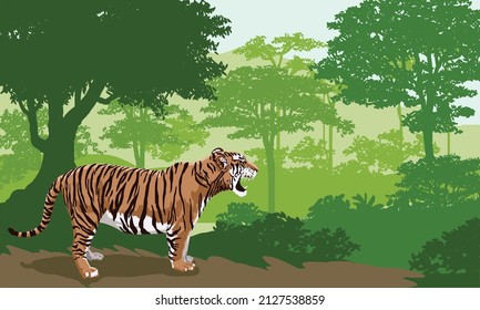  tiger isolated in the wilderness drawn on vector illustration