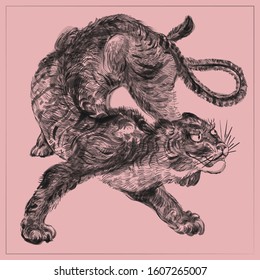 Tiger japanese engraving. Japanese tiger design. Wild print. Tiger T-Shirt design. Fashion vector illustration with tiger. Illustration for fabric, clother. - Vector.