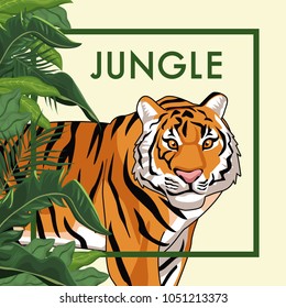 Tiger in the jungle