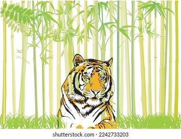 Tiger in the jungle , illustration