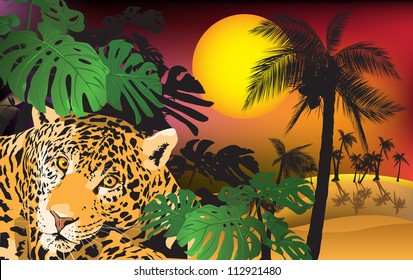 tiger in the jungle (vector illustration tropical plants)