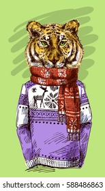 Tiger in knitted sweater. Vector illustration for greeting card, poster, or print on clothes. Fashion Style drawing. Hipster.