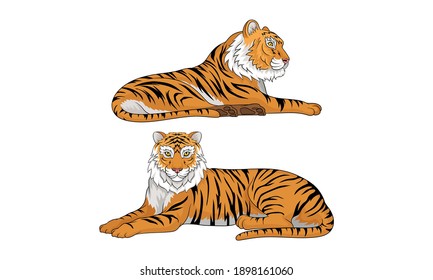 Tiger as Large Cat Specie with Dark Vertical Stripes on Orange-brown Fur Vector Set