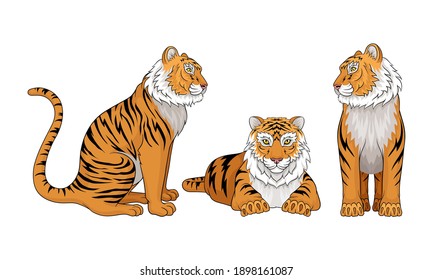 Tiger as Large Cat Specie with Dark Vertical Stripes on Orange-brown Fur Vector Set