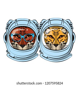 Tiger and leopard face cool sketch