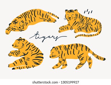 Tiger lies in various poses. Trendy modern style. Hand drawn vector set. All elements are isolated 