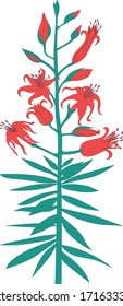 Tiger lily flower with scarlet flowers and green leaves.
