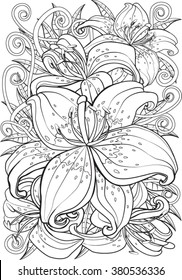 Tiger lily. Hand drawn vector illustration.