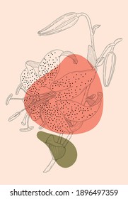 Trabajo de la línea Tiger Lily. Ilustración botánica detallada de estilo moderno. Arte vectorial. 