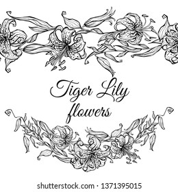 Tiger Lily pattern border and garland of flowers. Vector. Coloring