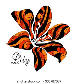 Tiger Lily. Vector illustration. Bright and stylish print can be used as a poster, cards, printing on textiles.