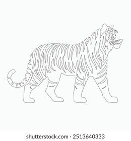 Tiger line art Illustration, Tiger vector line art, Tiger Vector black and white line art vector silhouette