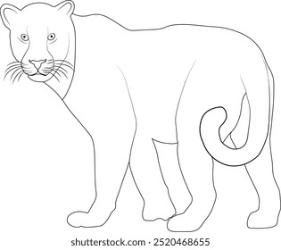 Linha artística Tiger | Descrição | Vetor de ilustração minimalista preto e branco Design