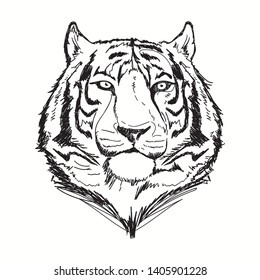 tiger line art vector illustration