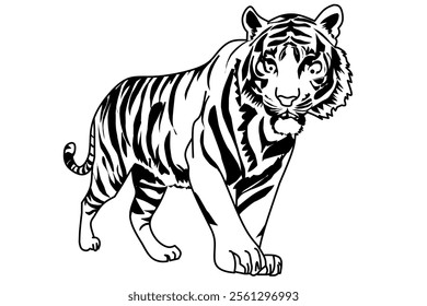 tiger line drawing isolated on white background. Tiger sketch vector illustration.