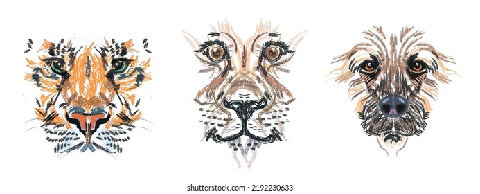Tiger. Lion, Dog set of pastel Color, realistic portrait of a Tigers, lion, dog head on a white background