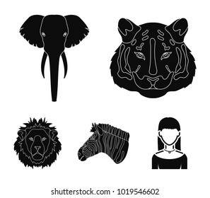Tiger, lion, elephant, zebra, Realistic animals set collection icons in black style vector symbol stock illustration web.