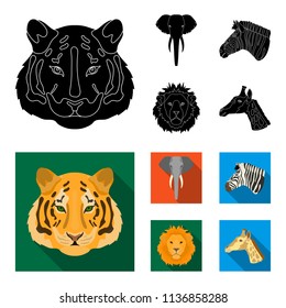 Tiger, lion, elephant, zebra, Realistic animals set collection icons in black, flat style vector symbol stock illustration web.