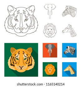 Tiger, lion, elephant, zebra, Realistic animals set collection icons in outline,flat style vector symbol stock illustration web.