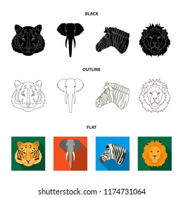 Tiger, lion, elephant, zebra, Realistic animals set collection icons in cartoon style vector symbol stock illustration web.