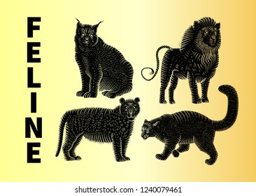 Tiger, lion, lynx, leopard - vector illustaration