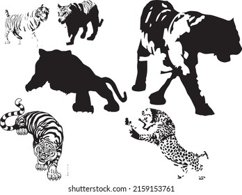 Tiger logo black white a vector image Sketch Of  Vector Illustration  looking danger. Tiger head icon, Tiger vector logo template eps