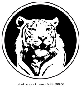 Tiger logo. Emblem, mascot or team symbol. Vector head of wildcat in a circle.