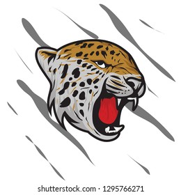 Tiger logo mascot icon illustration head - logotype emblem isolated graphics background white template
