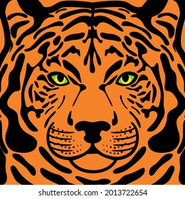 Tiger look animal muzzle angry