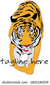 A tiger looking ahead, with its distinctive stripes of black, orange and white, symbolizes power, strength, honor, abundant emotions.