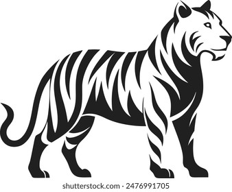 A tiger looks good and awesome
